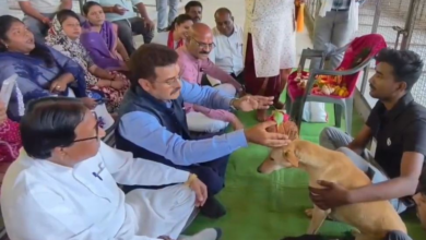 नसबंदी अभियान पर सियासत तेज, कुत्तों की पूजा को लेकर कांग्रेस-बीजेपी आमने-सामने