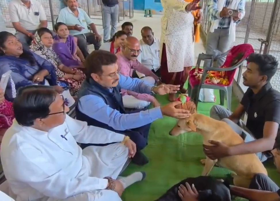 नसबंदी अभियान पर सियासत तेज, कुत्तों की पूजा को लेकर कांग्रेस-बीजेपी आमने-सामने