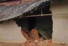 रायगढ़ में हाथियों का आतंक, आधी रात बस्ती में घुसकर 6 कच्चे मकान तोड़े; बाइक सवार भी हुआ घायल