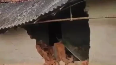 रायगढ़ में हाथियों का आतंक, आधी रात बस्ती में घुसकर 6 कच्चे मकान तोड़े; बाइक सवार भी हुआ घायल