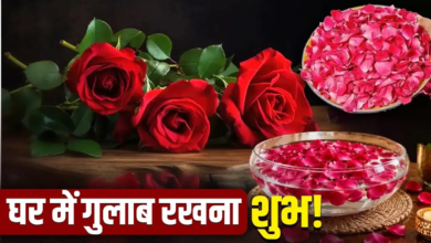 घर में ताजी गुलाब की पंखुड़ियां रखना क्यों माना जाता है शुभ? घर में ताजी गुलाब की पंखुड़ियां रखना क्यों माना जाता है शुभ?