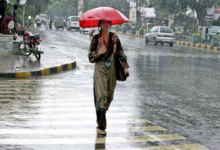 यवतमाल में मानसून ने पकड़ी रफ्तार, फुलसावंगी में 95.50 मिमी बारिश; 25 सर्किलों में जोरदार बरसात