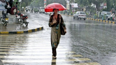 यवतमाल में मानसून ने पकड़ी रफ्तार, फुलसावंगी में 95.50 मिमी बारिश; 25 सर्किलों में जोरदार बरसात
