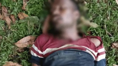 बारिश बनी आफत: सरगुजा में बिजली गिरने से 3 मौतें, बिलासपुर में पेड़ गिरने से कार क्षतिग्रस्त
