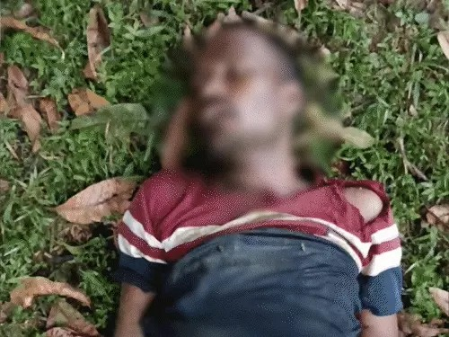 बारिश बनी आफत: सरगुजा में बिजली गिरने से 3 मौतें, बिलासपुर में पेड़ गिरने से कार क्षतिग्रस्त