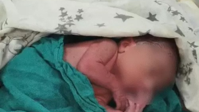 नवजात को प्लास्टिक में लपेटकर सड़क किनारे फेंका:रोने की आवाज सुनकर पहुंचे ग्रामीणों ने उठाया, एक घंटे पहले हुआ जन्म