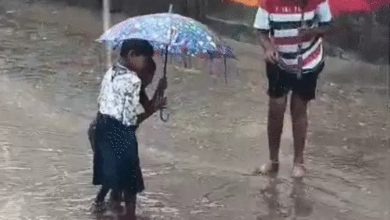 मानसून आने को तैयार: छत्तीसगढ़ में झमाझम बारिश से 5°C गिरा तापमान, कई जिलों में आज भी अलर्ट