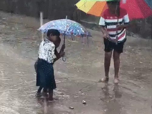मानसून आने को तैयार: छत्तीसगढ़ में झमाझम बारिश से 5°C गिरा तापमान, कई जिलों में आज भी अलर्ट