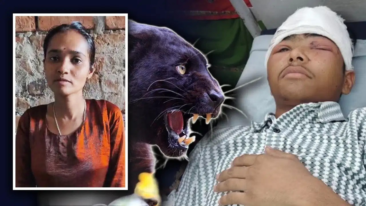 भाई को बचाने के लिए पैंथर से भिड़ गई बहन, जबड़े से खींचकर बचाई जान