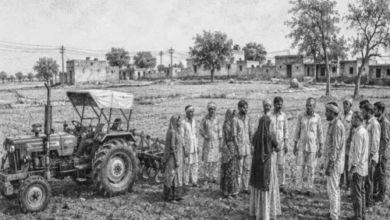भतीजों ने ताई पर ट्रैक्टर चढ़ाया, मौत:खेत जोतने को लेकर हुआ था झगड़ा, 2 साल से चल रहा था विवाद
