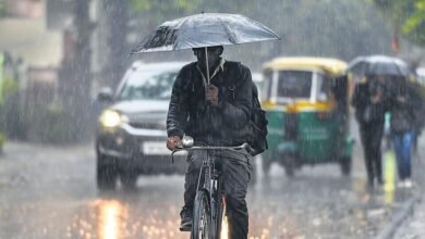 रायपुर-रायगढ़ में झमाझम बारिश, तेज हवाओं से बदला मौसम; 5 दिन आंधी-बारिश का अलर्ट, कल से आगे बढ़ेगा मानसून