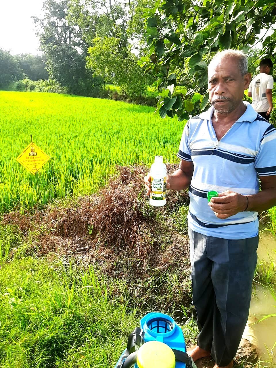 नैनो उर्वरक के उपयोग से धान उत्पादन में हुई वृद्धि, लागत में आई कमी – किसान निरंजन