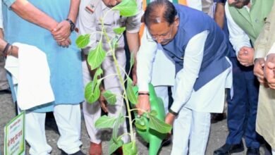बरगद लगाकर CM साय ने छेड़ा हरियाली अभियान: बोले—‘मां के नाम एक पौधा, प्रकृति को सबसे बड़ा उपहार’