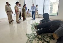 हाथियों के संरक्षण में छत्तीसगढ़ की बड़ी पहल : वन मंत्री केदार कश्यप के मार्गदर्शन में वन्यजीव फोरेंसिक प्रशिक्षण सम्पन्न