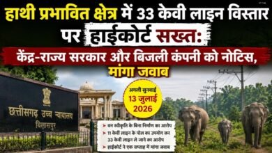 हाथी प्रभावित क्षेत्र में 33 केवी लाइन विस्तार पर हाईकोर्ट सख्त : केंद्र-राज्य सरकार और बिजली कंपनी को नोटिस