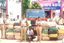 CG में 4.5 करोड़ का गांजा जब्त: केलों के नीचे छिपाकर हो रही थी तस्करी, यूपी से दबोचा गया ड्रग सिंडिकेट का मास्टरमाइंड