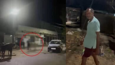 महासमुंद में इंसानियत शर्मसार: गाय के साथ कथित घिनौनी हरकत का VIDEO वायरल, जनआक्रोश के बाद आरोपी गिरफ्तार