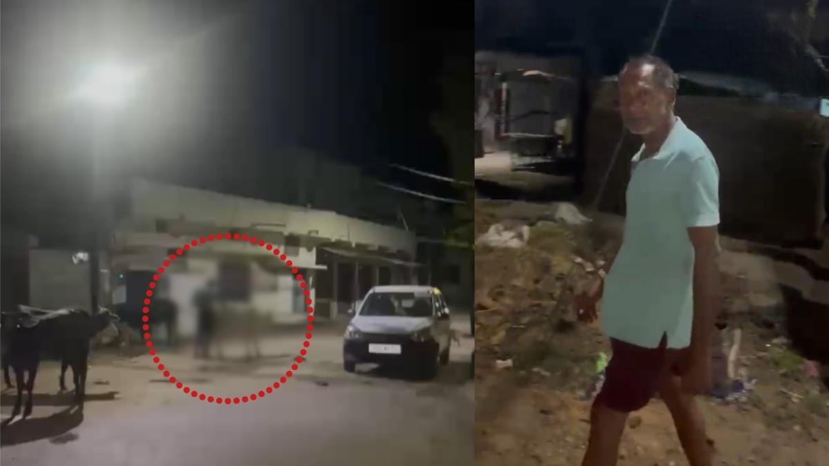 महासमुंद में इंसानियत शर्मसार: गाय के साथ कथित घिनौनी हरकत का VIDEO वायरल, जनआक्रोश के बाद आरोपी गिरफ्तार