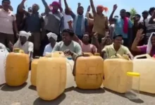मुंगेली में वन विभाग का बड़ा अभियान, 90 हेक्टेयर वनभूमि को अतिक्रमण से कराया मुक्त