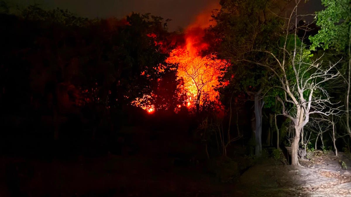 जंगल में धधकी आग, पर्यावरण दिवस पर बांसला पहाड़ी से सामने आई चिंताजनक तस्वीर जंगल में धधकी आग, पर्यावरण दिवस पर बांसला पहाड़ी से सामने आई चिंताजनक तस्वीर