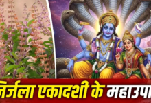 निर्जला एकादशी पर तुलसी की मंजरी से करें ये महाउपाय, घर में कभी नहीं होगा दरिद्रता का वास!
