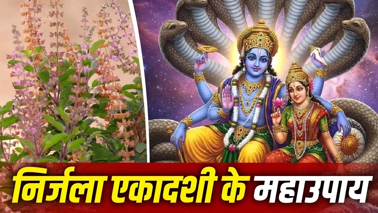 निर्जला एकादशी पर तुलसी की मंजरी से करें ये महाउपाय, घर में कभी नहीं होगा दरिद्रता का वास!