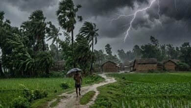 छत्तीसगढ़ में मौसम का बड़ा बदलाव: 50 किमी प्रति घंटे की रफ्तार से चलेंगी हवाएं, कई जिलों में बारिश का अलर्ट