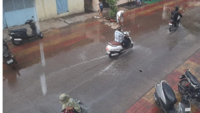 वर्धा में लंबे इंतजार के बाद हुई झमाझम बारिश, भीषण गर्मी से मिली राहत; अब दमदार मानसून की आस में बैठे किसान