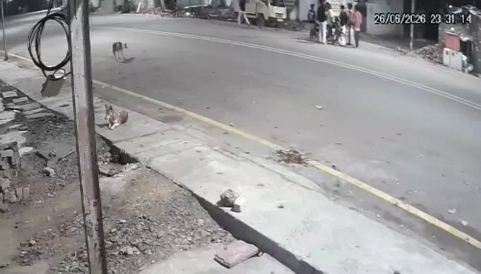 दुर्ग में आइसक्रीम पार्लर की आड़ में देह व्यापार का भंडाफोड़, लॉज संचालक समेत 8 लोग हिरासत में