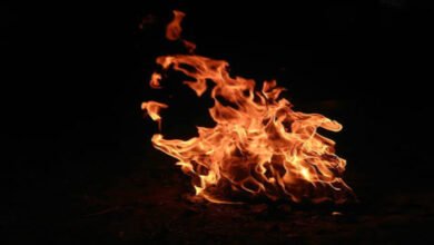 हाइवे पर चलते-चलते लगी आग, सूझबूझ से परिवार सुरक्षित; लग्जरी कार पूरी तरह जली