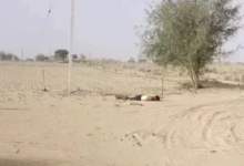 हाईवोल्टेज तार टूटकर तारबंदी पर गिरा, करंट लगने से किसान की दर्दनाक मौत