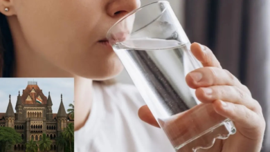 स्वच्छ पेयजल नागरिकों का मौलिक अधिकार, पानी की कमी पर हाईकोर्ट ने महाराष्ट्र सरकार से मांगा जवाब