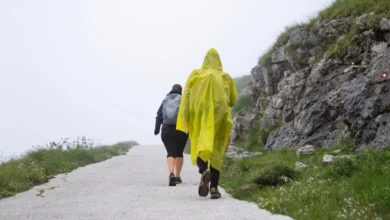 मानसून में भी करनी है पहाड़ों की यात्रा, भारत की इन जगहों पर जाना है सेफ