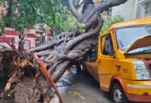 मुंबई में दर्दनाक हादसा… स्कूल बस पर पेड़ गिरने से एक छात्र की मौत; 4 बच्चे घायल
