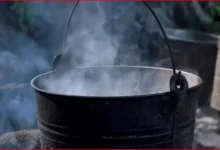 ग्वालियर: रसोई में दाल बनाने के लिए उबल रहा था पानी, गुस्से में पत्नी ने पति पर फेंका, झुलस गया प्राइवेट पार्ट; वजह क्या?