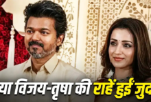 Instagram पर अनफोलो किया, बर्थडे पर विश भी नहीं…क्या CM विजय और तृषा कृष्णन का हो गया ब्रेकअप?