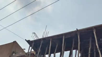 हाईटेंशन लाइन के पास काम कर रहे मजदूरों को करंट का जोरदार झटका, 20 फीट नीचे गिरे; बिना सुरक्षा उपकरण के कर रहे थे काम, अस्पताल में भर्ती