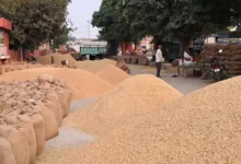 धान खरीदी में 81 लाख का घोटाला उजागर: तीन केंद्रों से धान और बारदाना गायब, छह आरोपियों पर एफआईआर
