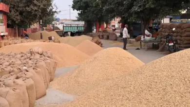 धान खरीदी में 81 लाख का घोटाला उजागर: तीन केंद्रों से धान और बारदाना गायब, छह आरोपियों पर एफआईआर