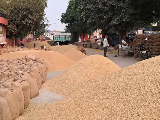 धान खरीदी में 81 लाख का घोटाला उजागर: तीन केंद्रों से धान और बारदाना गायब, छह आरोपियों पर एफआईआर