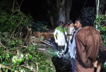 बिहार: सीतामढ़ी में आंधी-बारिश का कहर, झोपड़ी पर गिरा पीपल का पेड़, एक ही परिवार के 5 लोगों की मौत