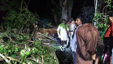 बिहार: सीतामढ़ी में आंधी-बारिश का कहर, झोपड़ी पर गिरा पीपल का पेड़, एक ही परिवार के 5 लोगों की मौत बिहार: सीतामढ़ी में आंधी-बारिश का कहर, झोपड़ी पर गिरा पीपल का पेड़, एक ही परिवार के 5 लोगों की मौत