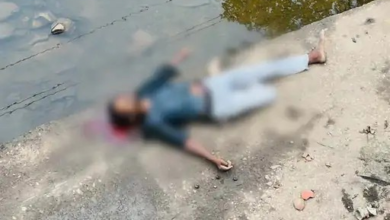 20 फीट ऊंचे पुल से नीचे गिरा बाइक सवार, सिर में गंभीर चोट लगने से मौत
