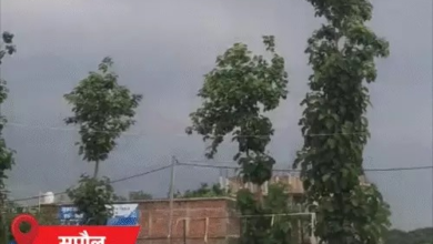 बिहार के 24 जिलों में बारिश का अलर्ट: 50 किमी/घंटा की रफ्तार से चलेंगी हवाएं, 3-4 दिन तक मौसम रहेगा ऐसा ही