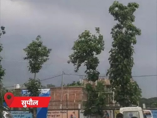 बिहार के 24 जिलों में बारिश का अलर्ट: 50 किमी/घंटा की रफ्तार से चलेंगी हवाएं, 3-4 दिन तक मौसम रहेगा ऐसा ही
