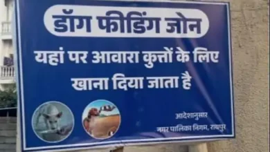 रायपुर में स्ट्रीट डॉग्स के लिए बने फीडिंग जोन, 70 वार्डों में लगाए गए सूचना बोर्ड