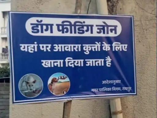 रायपुर में स्ट्रीट डॉग्स के लिए बने फीडिंग जोन, 70 वार्डों में लगाए गए सूचना बोर्ड
