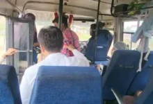 बीजापुर-गीदम-जगदलपुर बस में आदिवासी दंपती से अभद्रता का VIDEO वायरल, बस मालिक ने कंडक्टर को हटाया