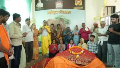 वर्ल्ड रिकॉर्डधारी कामधेनु गाय ‘सौम्या’ का निधन, 54 इंच लंबी पूंछ से बनाई थी अनोखी पहचान