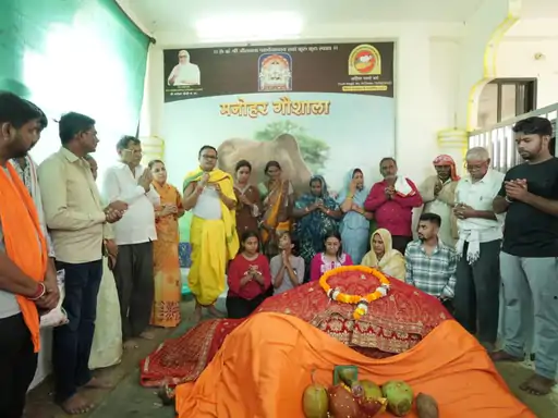 वर्ल्ड रिकॉर्डधारी कामधेनु गाय ‘सौम्या’ का निधन, 54 इंच लंबी पूंछ से बनाई थी अनोखी पहचान